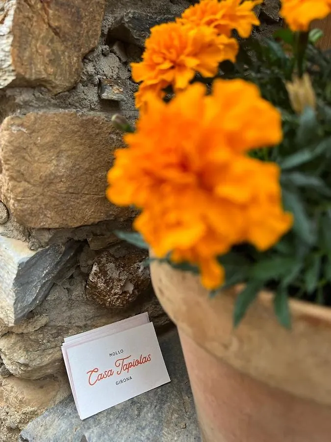 Casa Tapiolas Rectoria Molló Séjour à la campagne